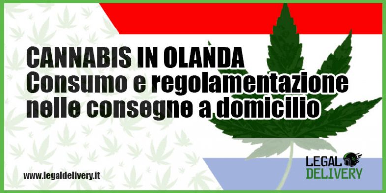 consegna a domicilio cannabis in olanda