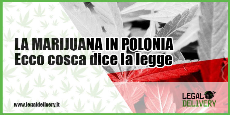 consegna a domicilio marijuana in polonia