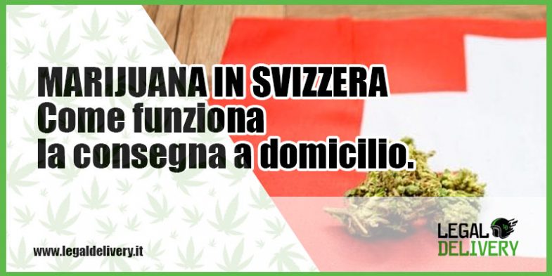 consegna a domicilio marijuana in svizzera