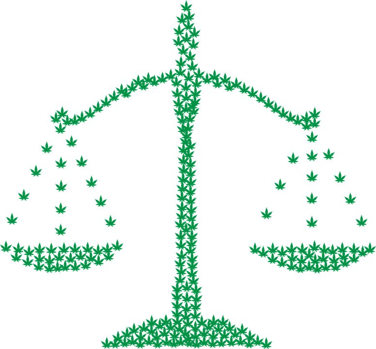 marijuana legale uruguay