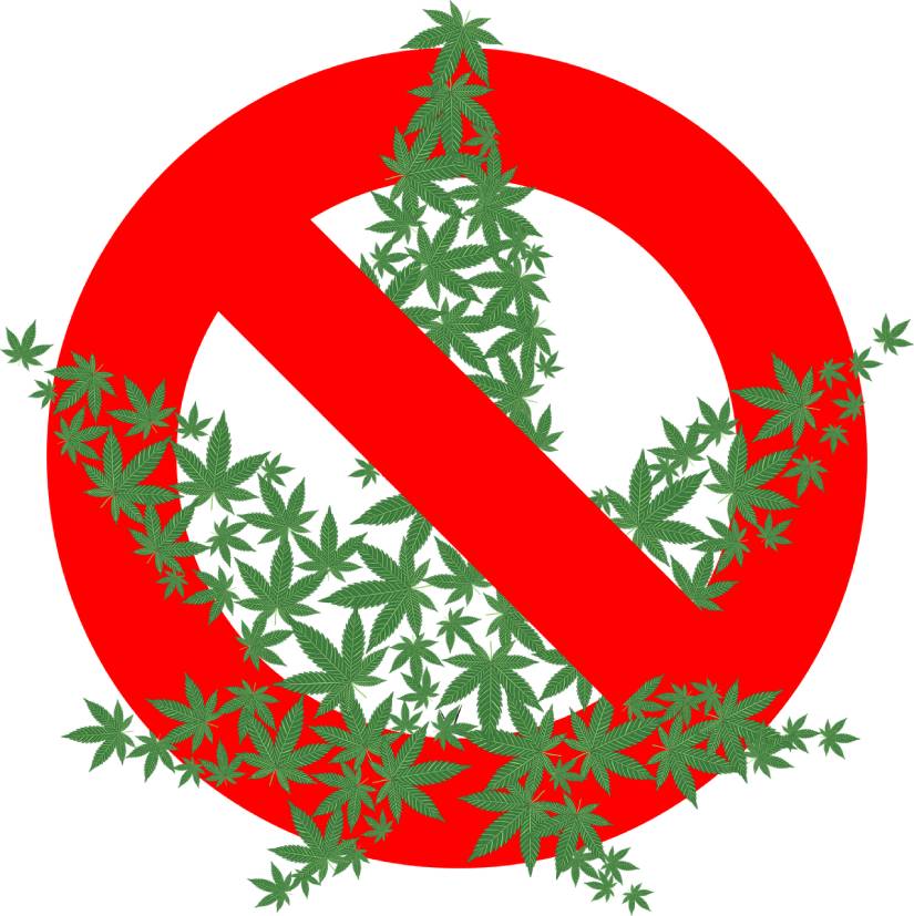marijuana nuova zelanda referendum