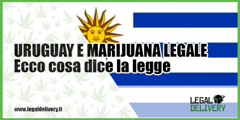 consegna marijuana a domicilio in uruguay