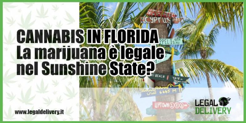 cannabis in florida