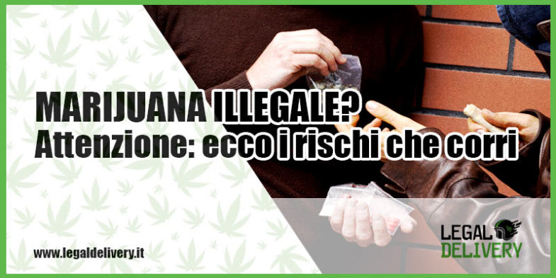 i rischi della marijuana illegale