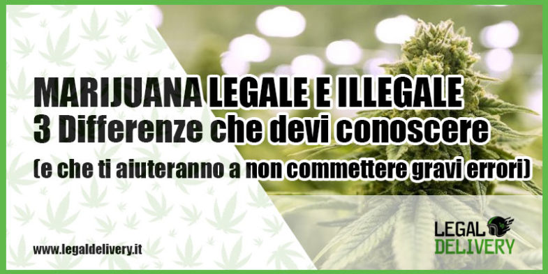 3 differenze tra marijuana legale e illegale