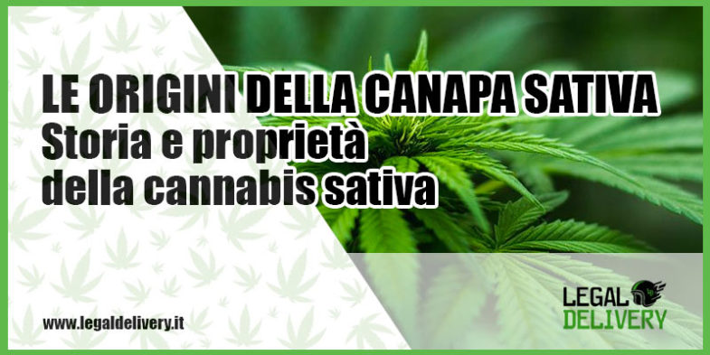 origini della canapa sativa