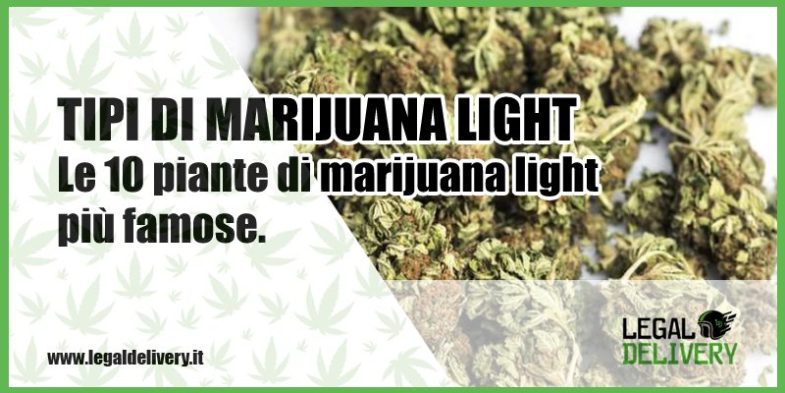 tipi di marijuana light milano