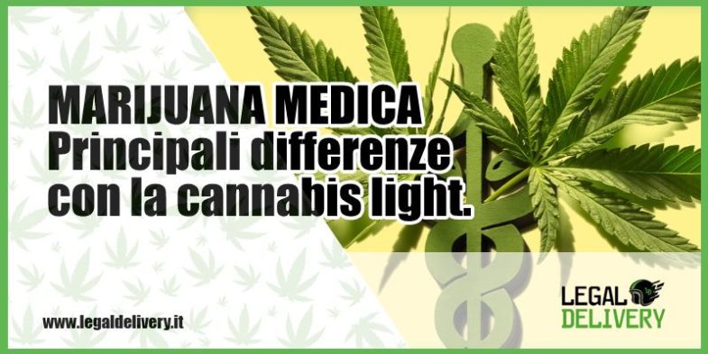 marijuana medica