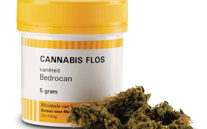 bedrocan effetti marijuana terapeutica
