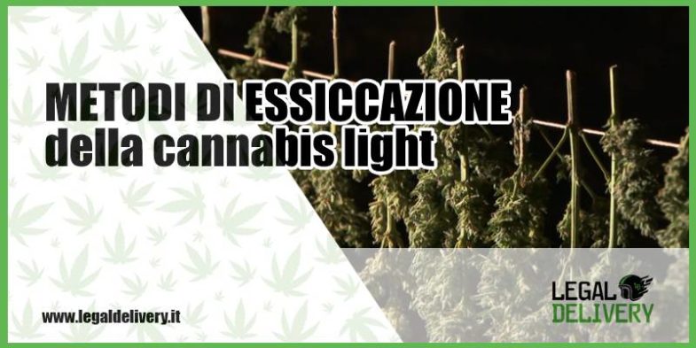 metodi essiccazione cannabis light