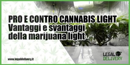 pro e contro cannabis light