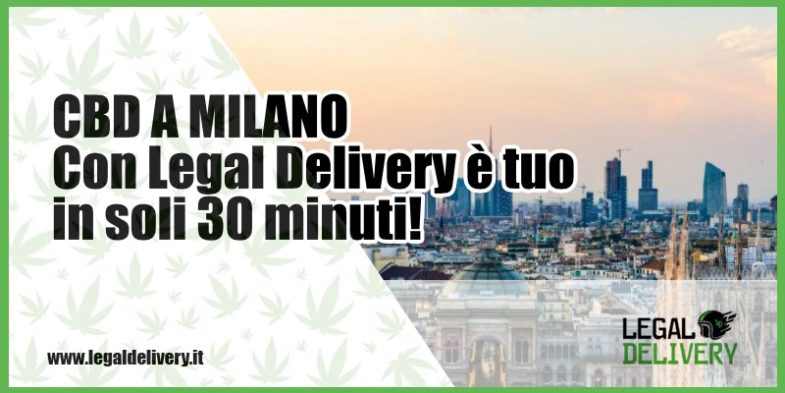 cbd milano Legal Delivery