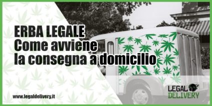 erba legale consegna a domicilio marijuana light Milano
