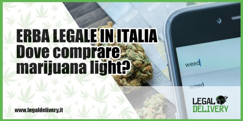 erba legale in Italia dove comprare