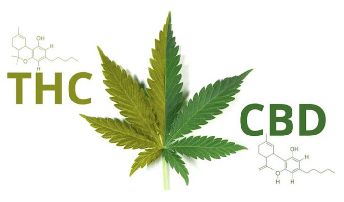 thc e cbd insieme nella marijuana light