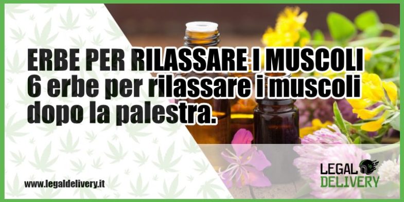 erbe per rilassare i muscoli