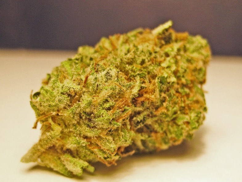 marijuana legale prezzo Master Kush