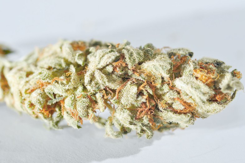 marijuana light prezzo Lemon Cheese